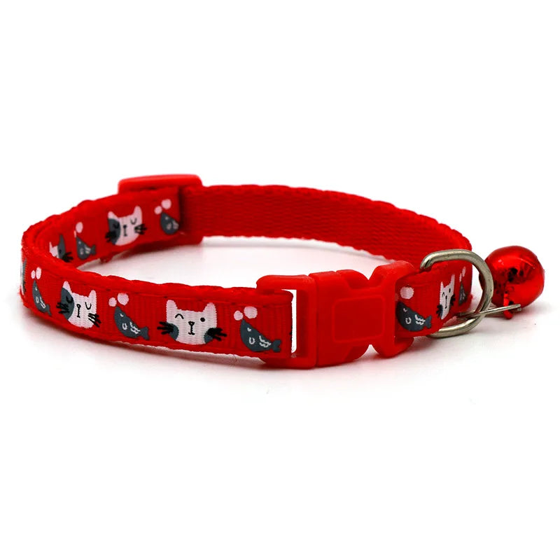 Colourful pet collar