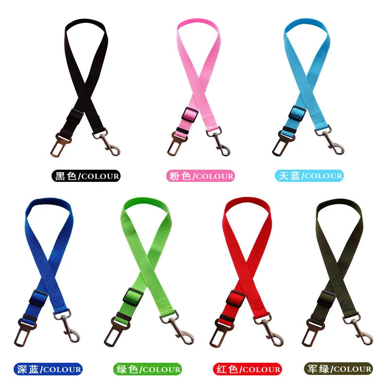 Dog/Cat harness for car