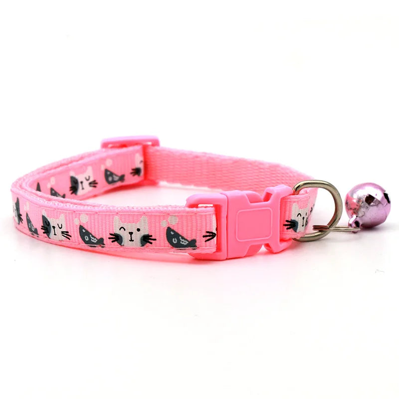 Colourful pet collar