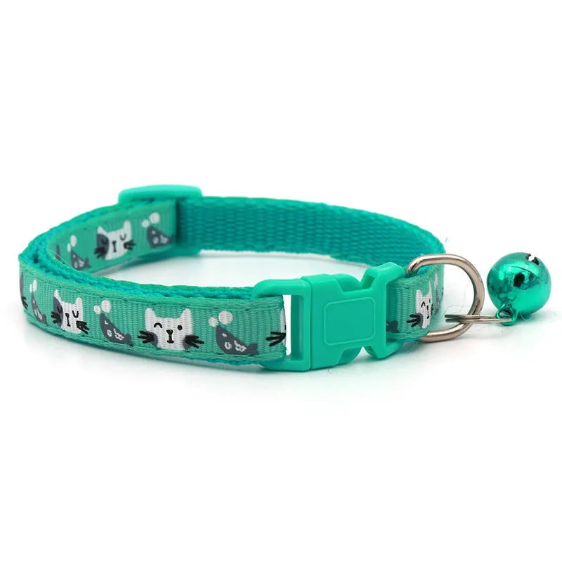 Colourful pet collar