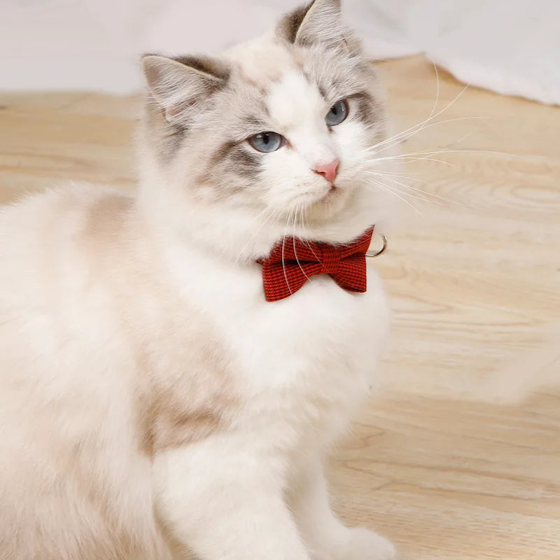 Bowtie Collar
