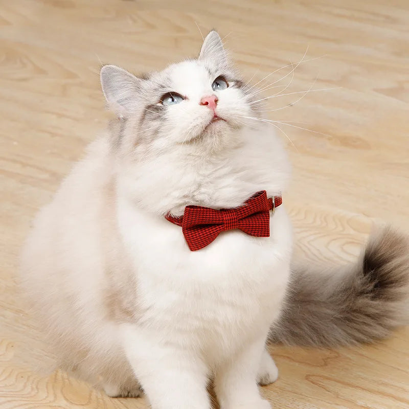 Bowtie Collar