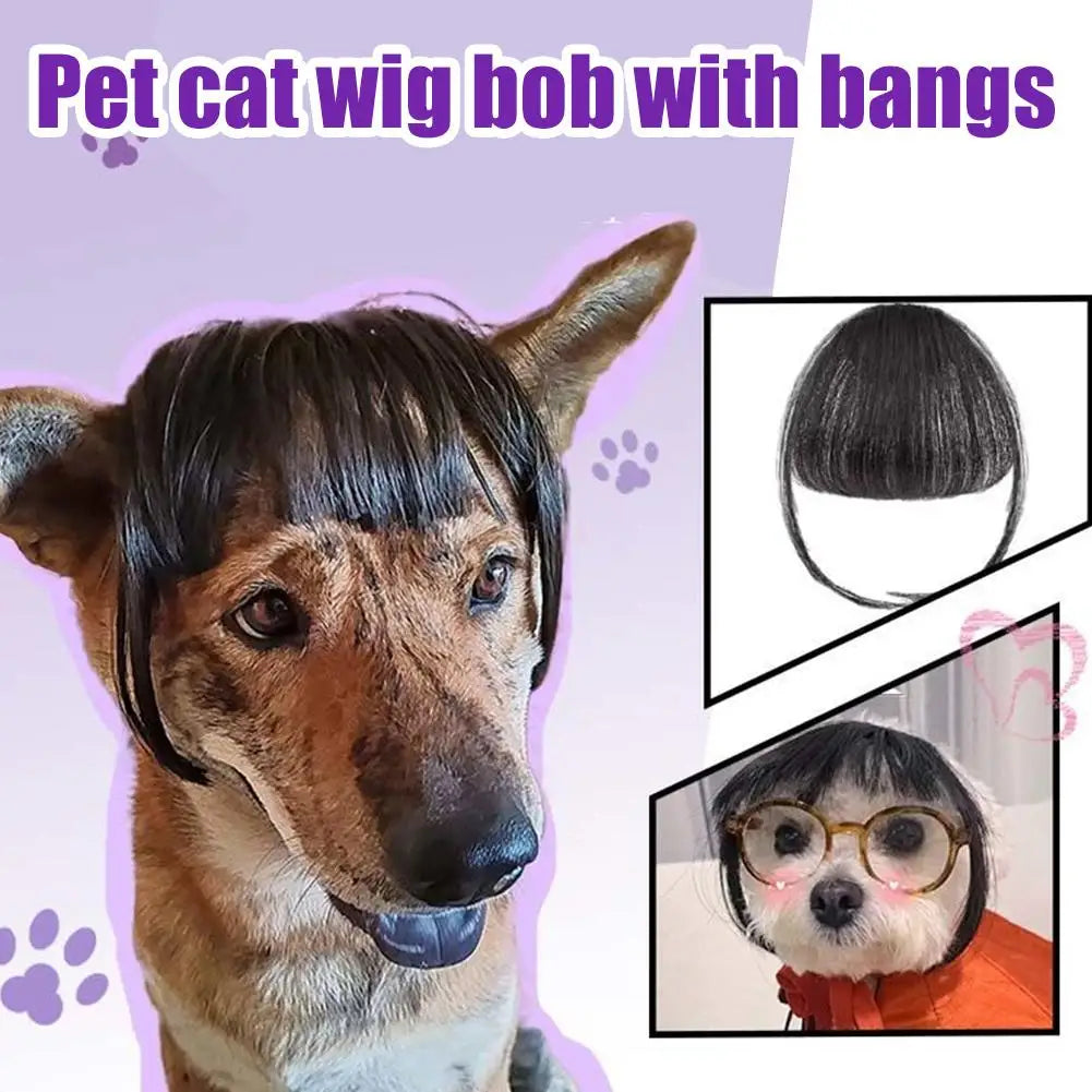 Wig