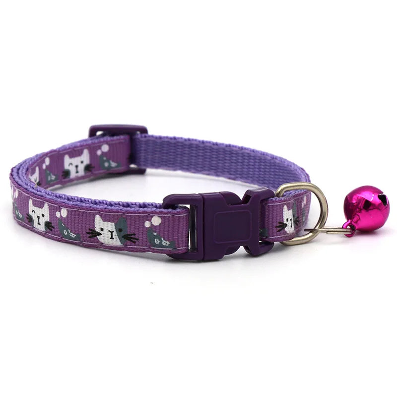 Colourful pet collar