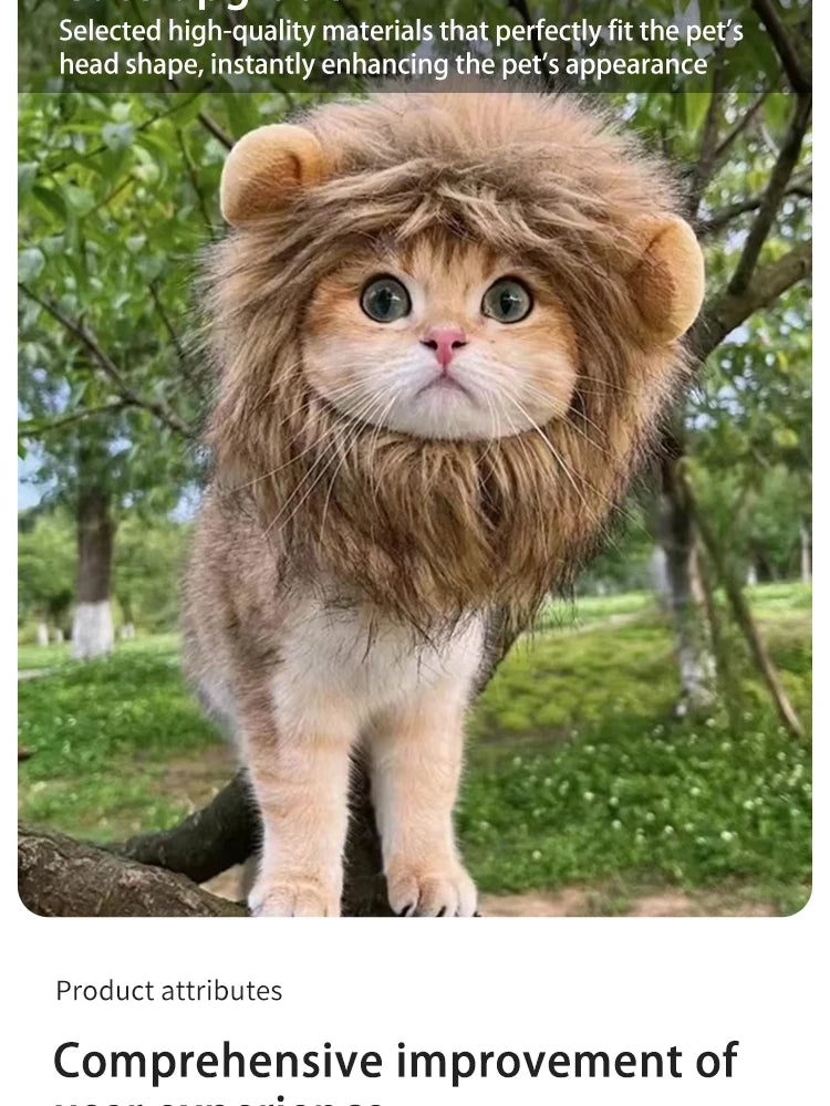 Head piece