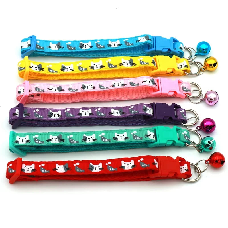 Colourful pet collar