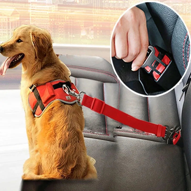 Dog/Cat harness for car