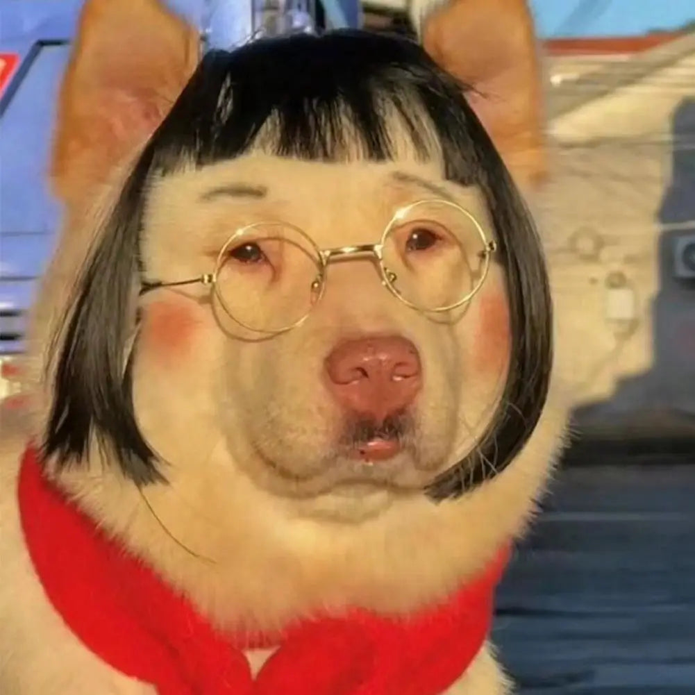 Wig