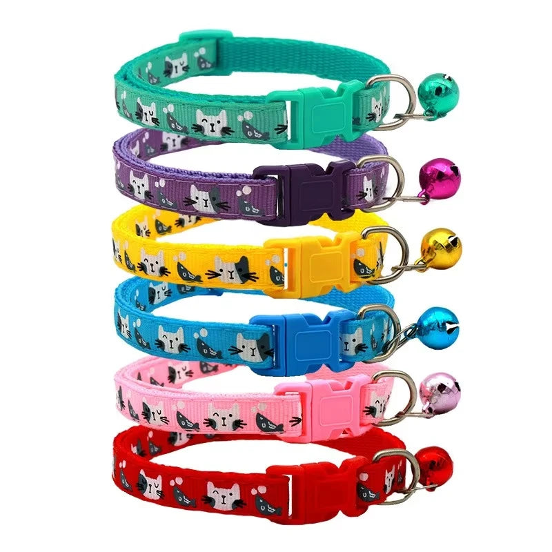 Colourful pet collar