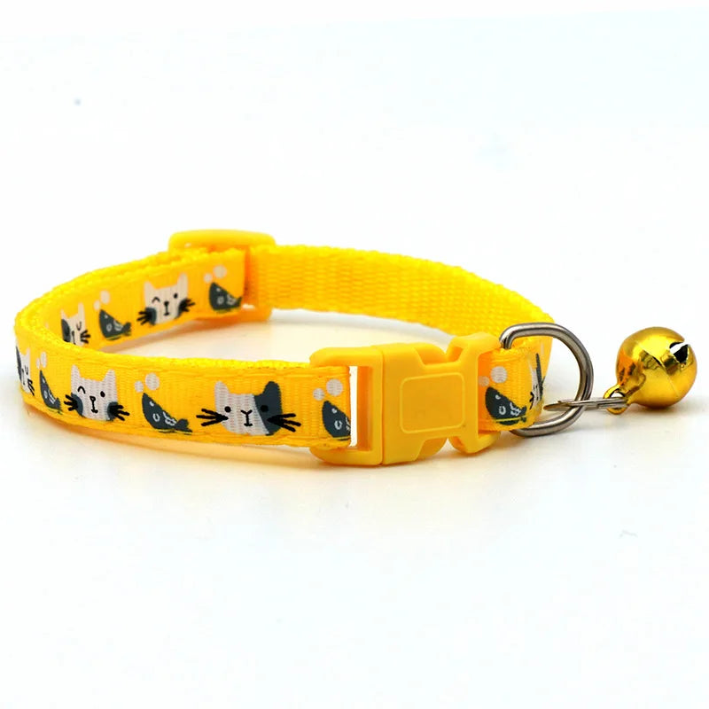 Colourful pet collar