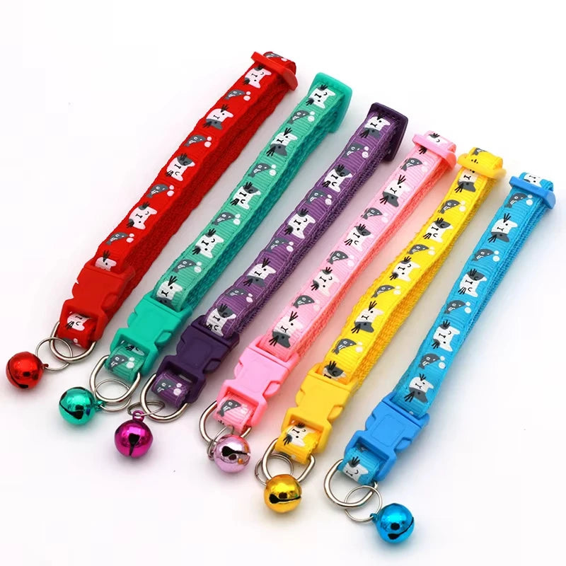 Colourful pet collar