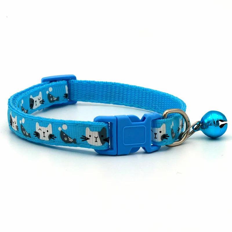 Colourful pet collar