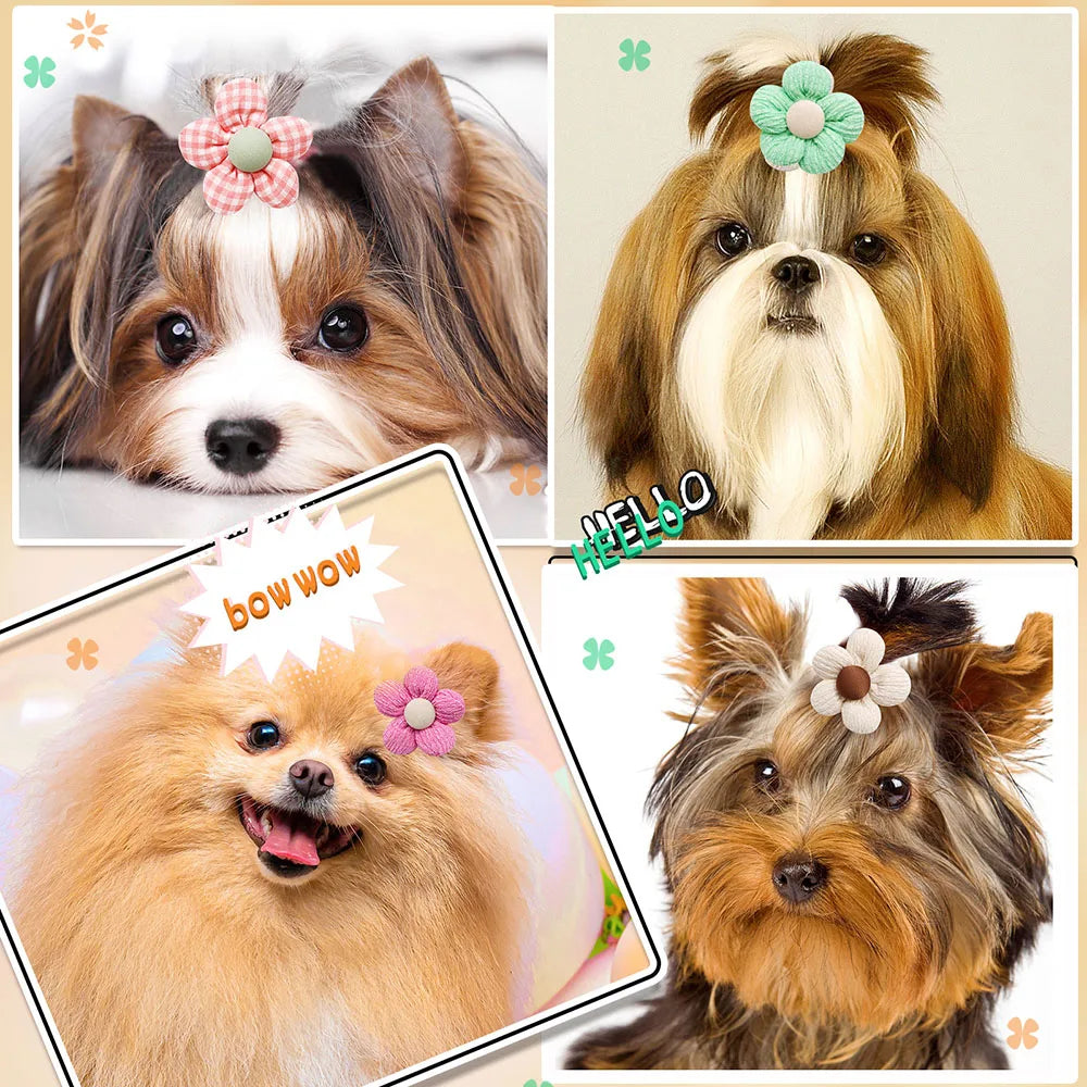 Pet hair Accessories