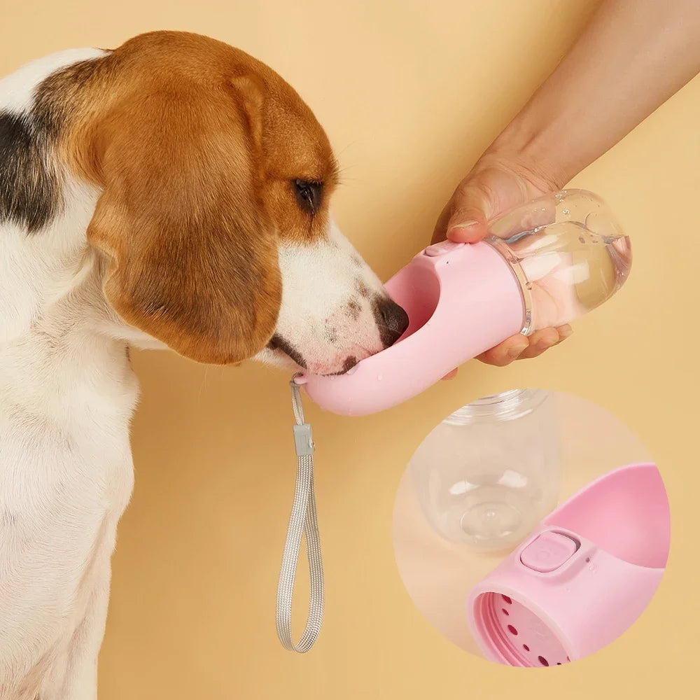 Handy Pet water/feeder for your buddy