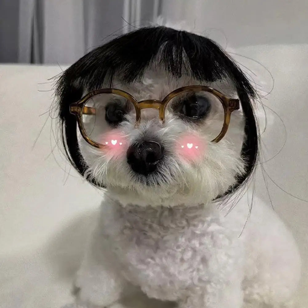 Wig