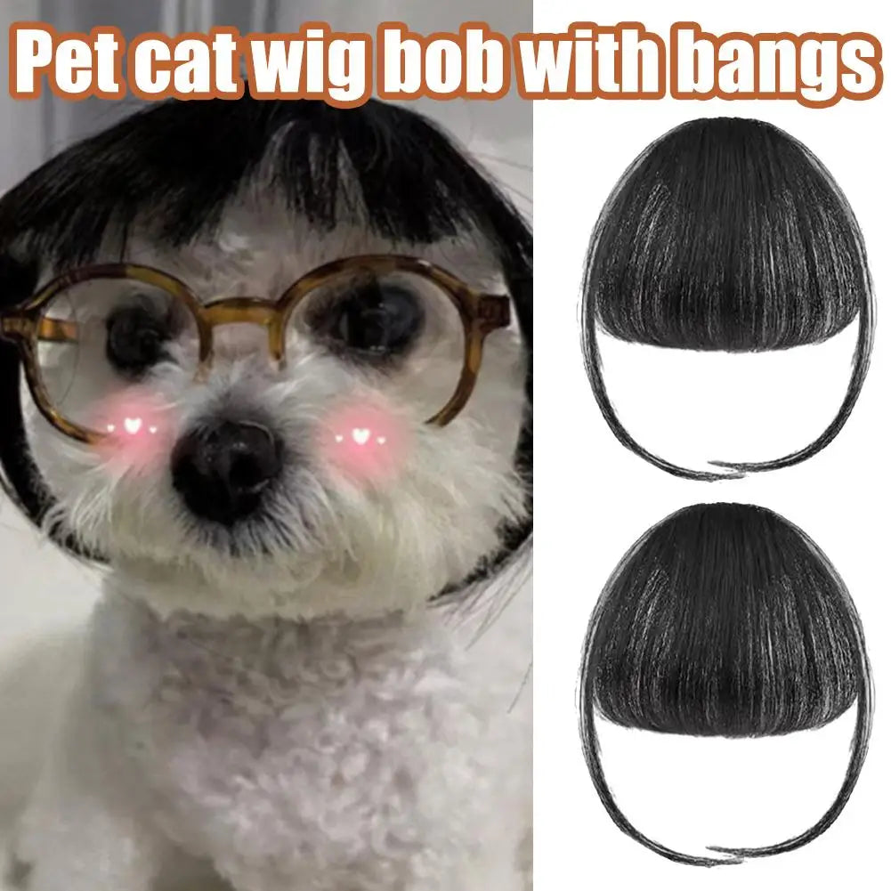 Wig