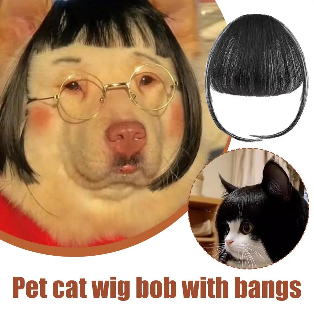 Wig