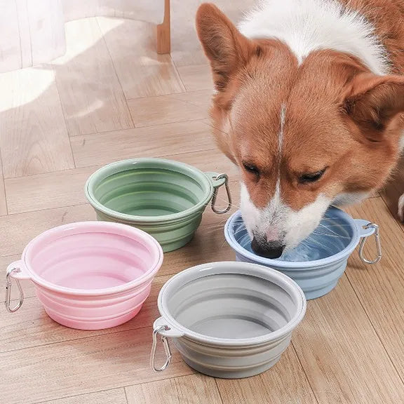 Portable Pet bowl