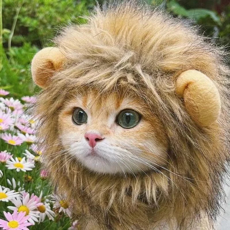 Head piece
