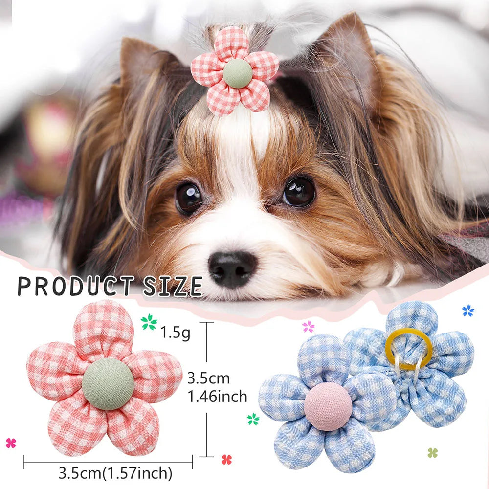 Pet hair Accessories