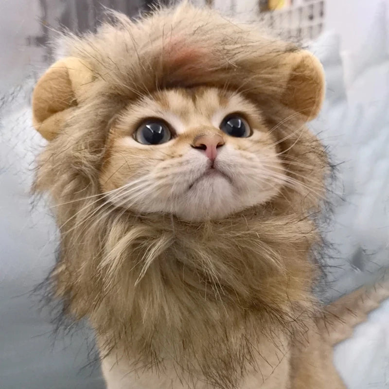 Head piece