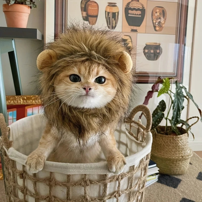 Head piece