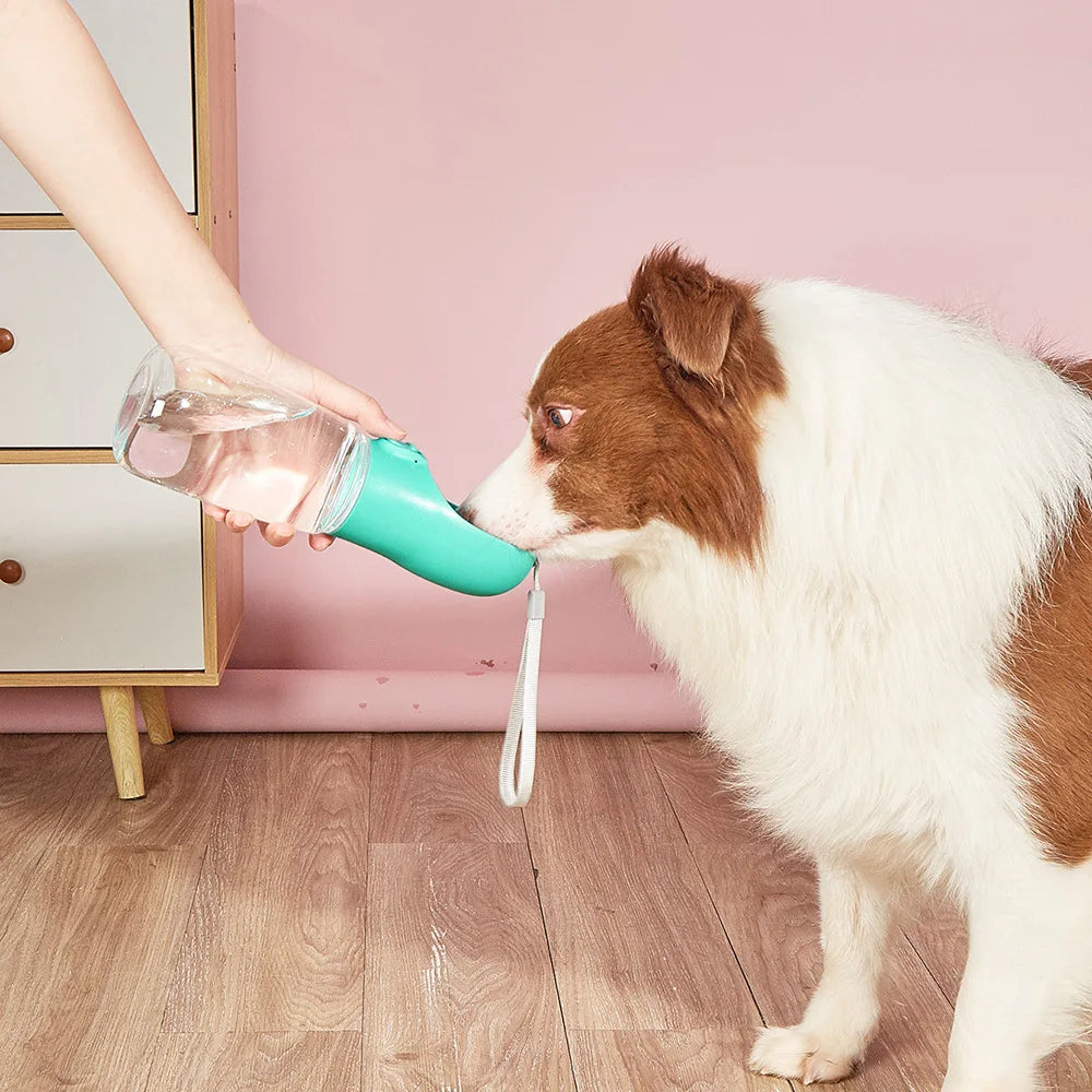Handy Pet water/feeder for your buddy