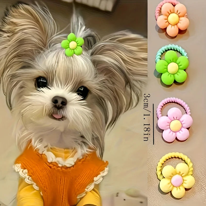 Pet Fur Accessories