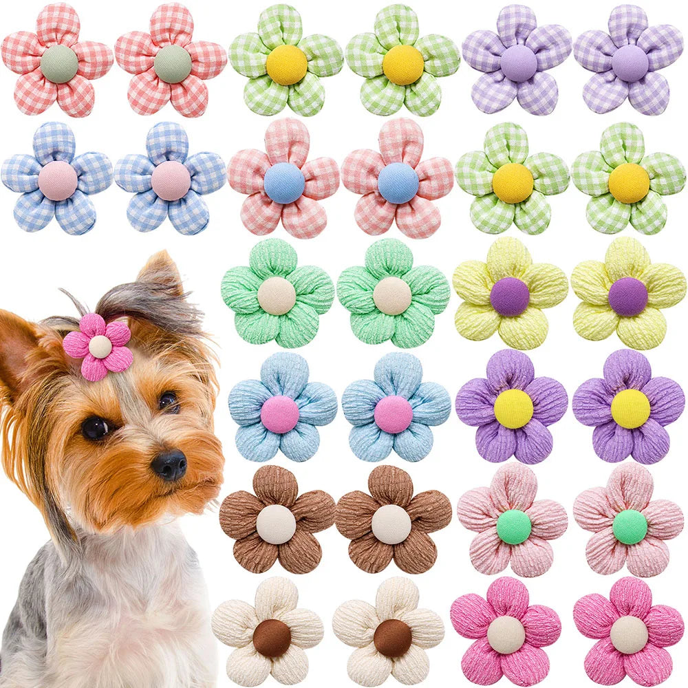 Pet hair Accessories
